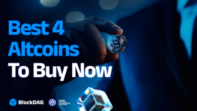Top Altcoins to Buy Now: Strategic Crypto Picks with Built-In Utility