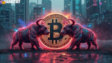 DeFi Development Corp Boosts Solana Holdings with New Acquisition