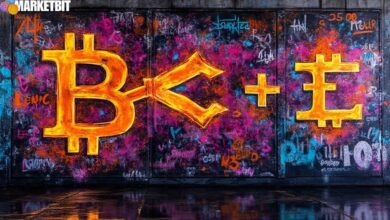 HYPE Token Faces Volatility Amid On-chain Mechanics