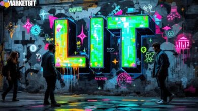 LIT Tokenomics: Debates and Market Implications